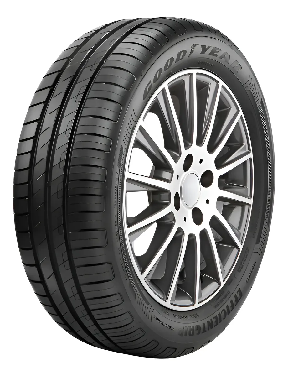 Pneu Goodyear EfficientGrip Performance 195/65 R15 91H